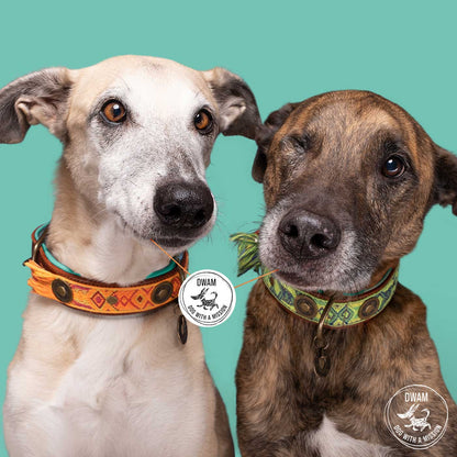 Boho Diego Dog Collar by DWAM, view 2