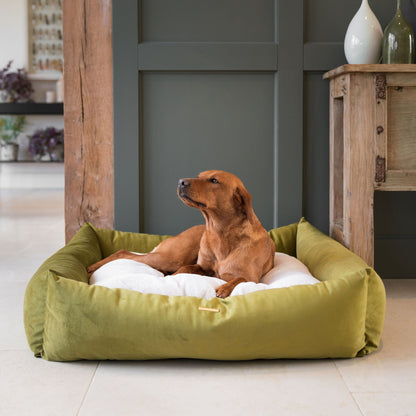 Box Bed With Removable Covers In Olive Velvet