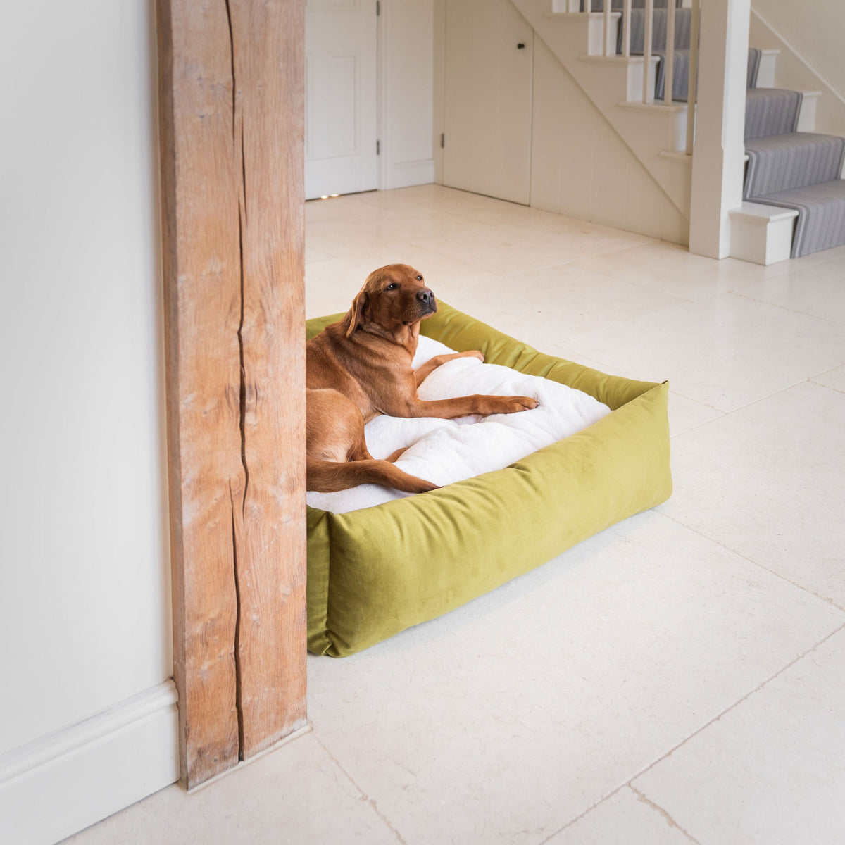 Box Bed With Removable Covers In Olive Velvet, view 4