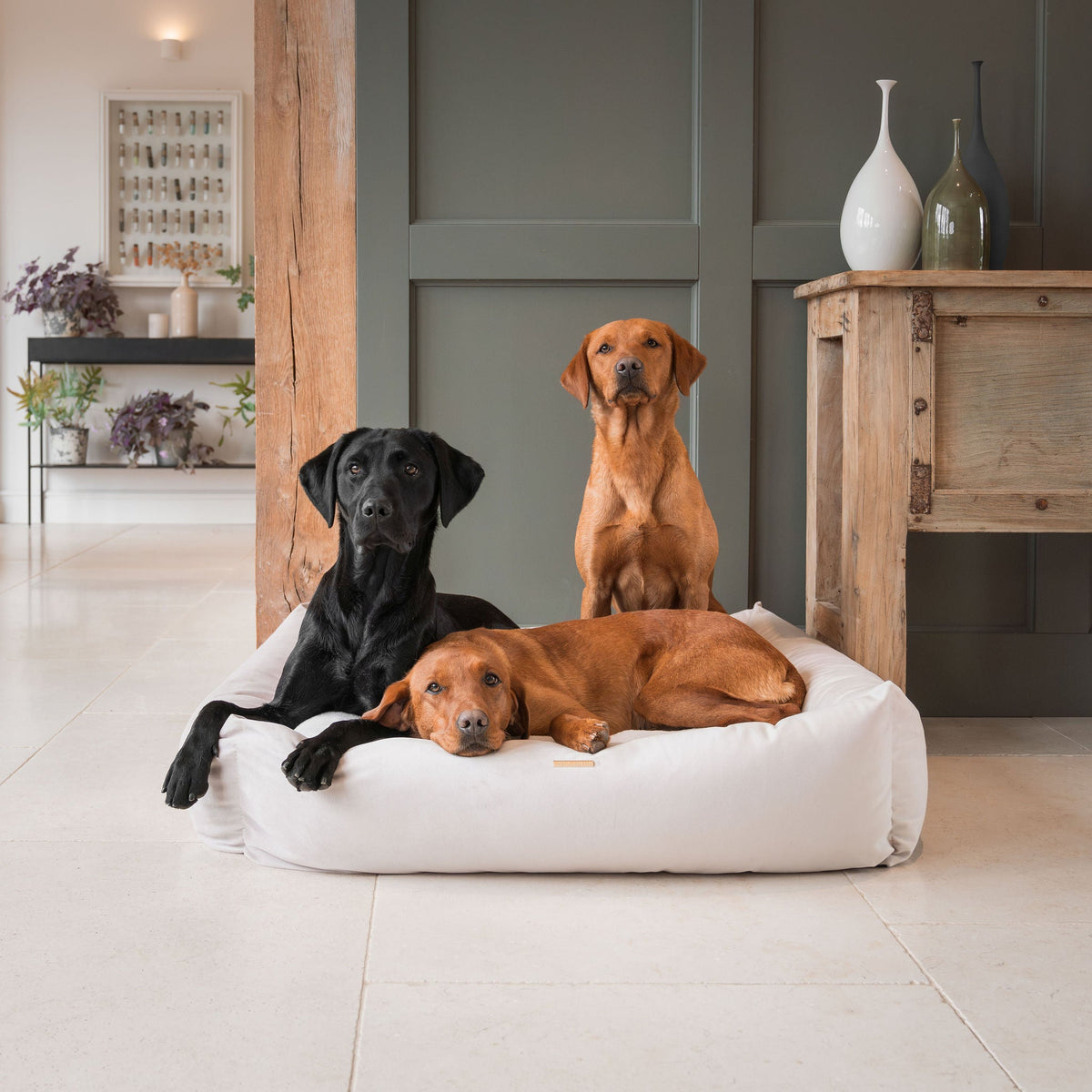Box Bed With Removable Covers In Oyster Velvet