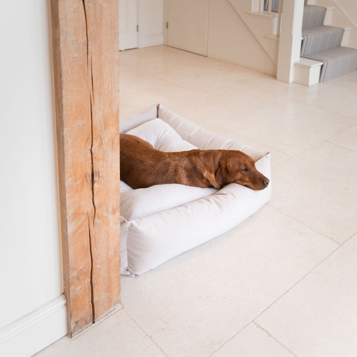 Box Bed With Removable Covers In Oyster Velvet, view 4
