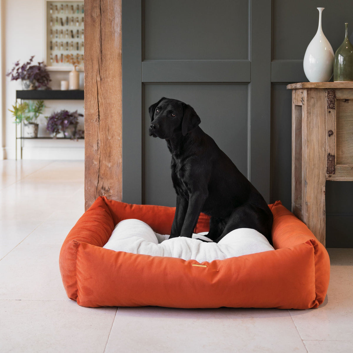 Box Bed With Removable Covers In Pumpkin Velvet, view 3