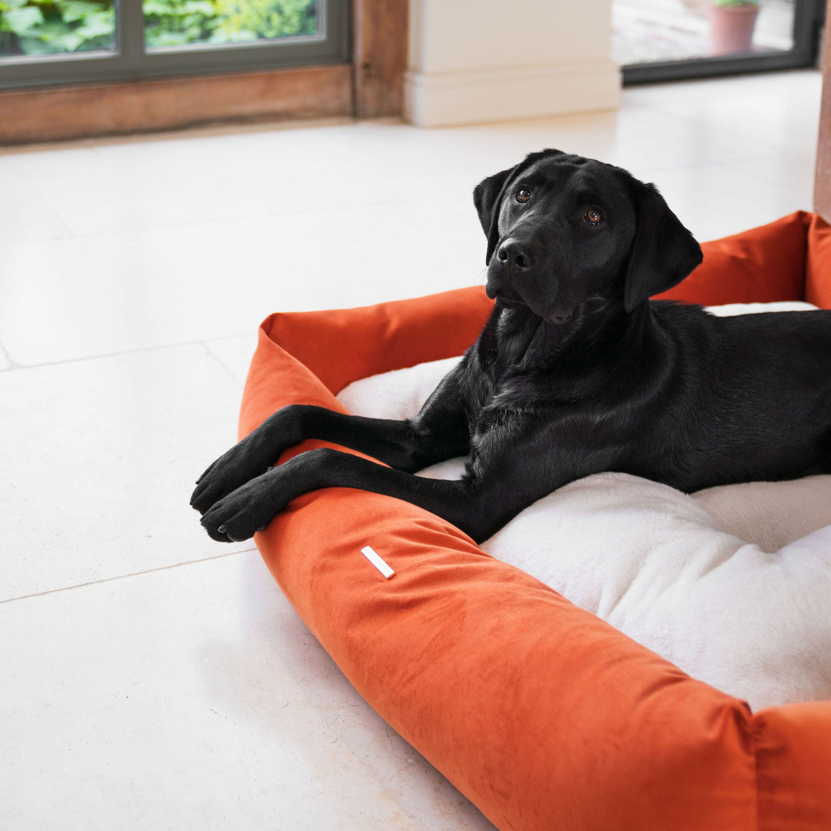 Box Bed With Removable Covers In Pumpkin Velvet, view 5