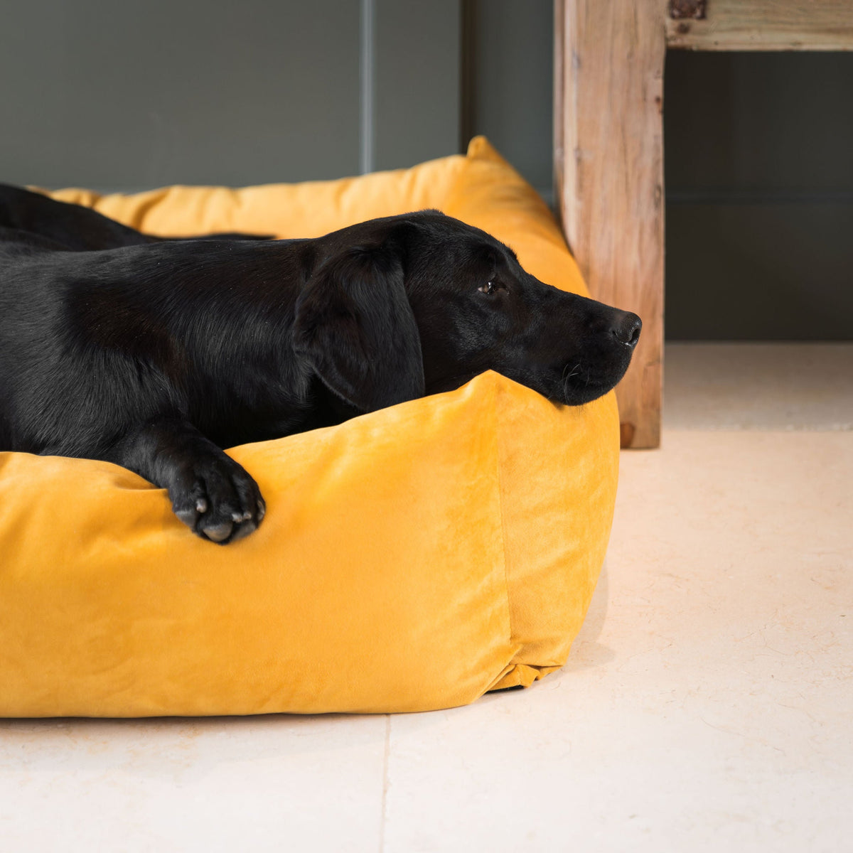 Box Bed With Removable Covers In Saffron Velvet, view 5