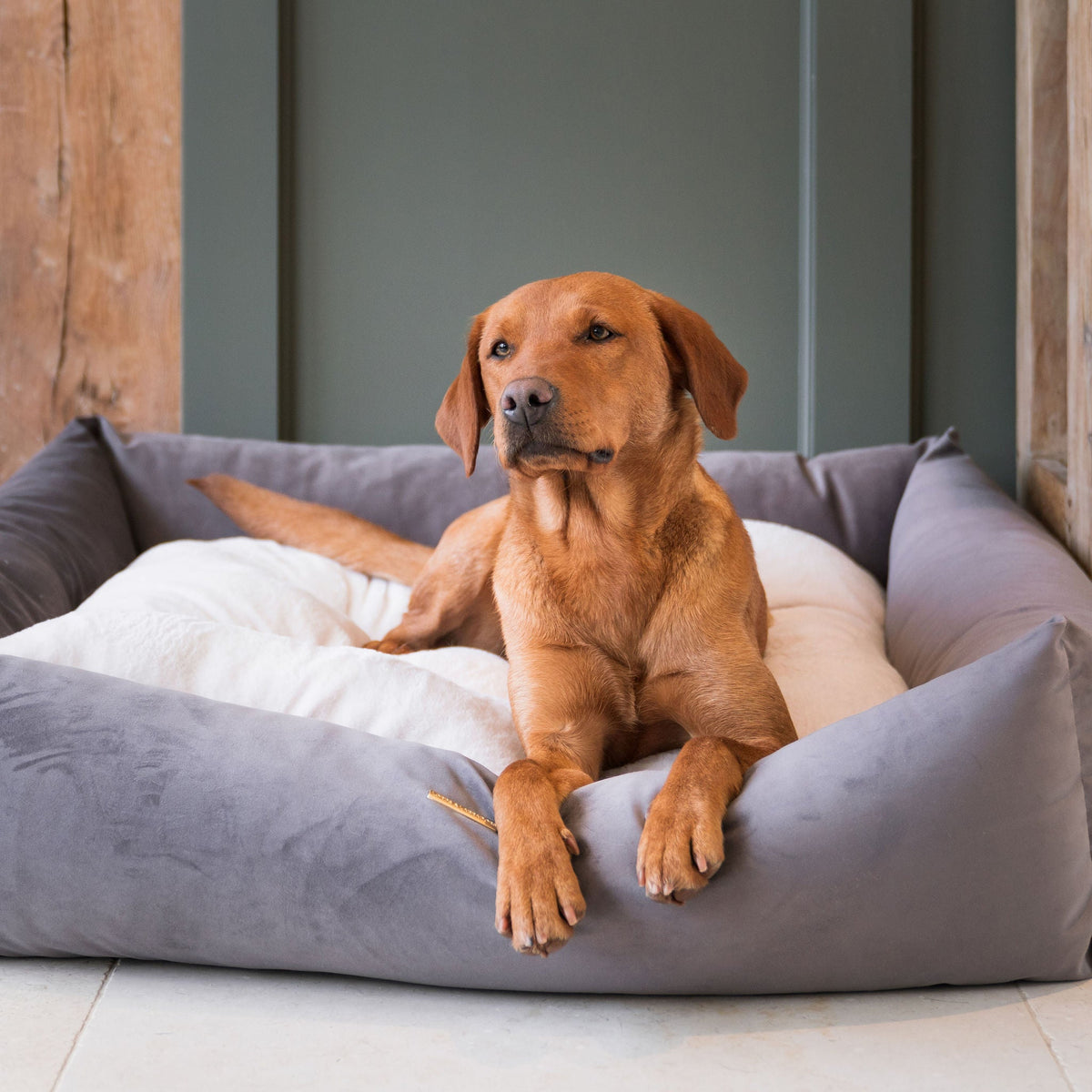 Box Bed With Removable Covers In Silt Velvet