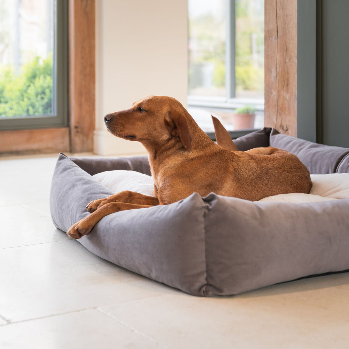Box Bed With Removable Covers In Silt Velvet, view 5