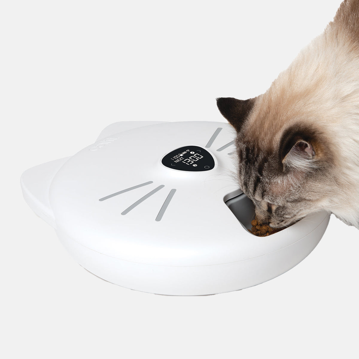 Catit Pixi Smart 6 Meal Feeder, view 4