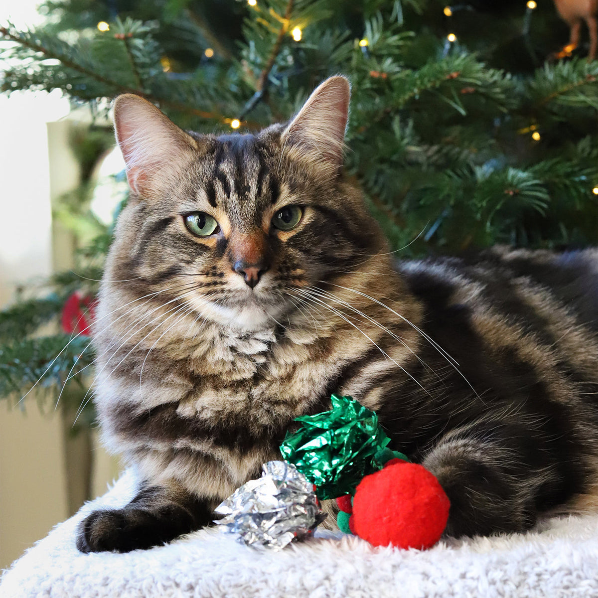 Christmas Cat Toy Stocking, view 2
