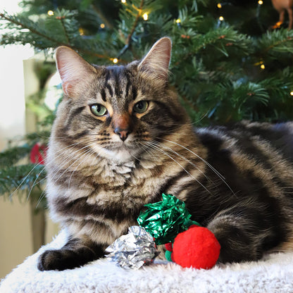 Christmas Cat Toy Stocking, view 2