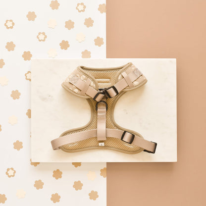 Cocopup London Mocha Flower Luxe Adjustable Neck Harness, view 3