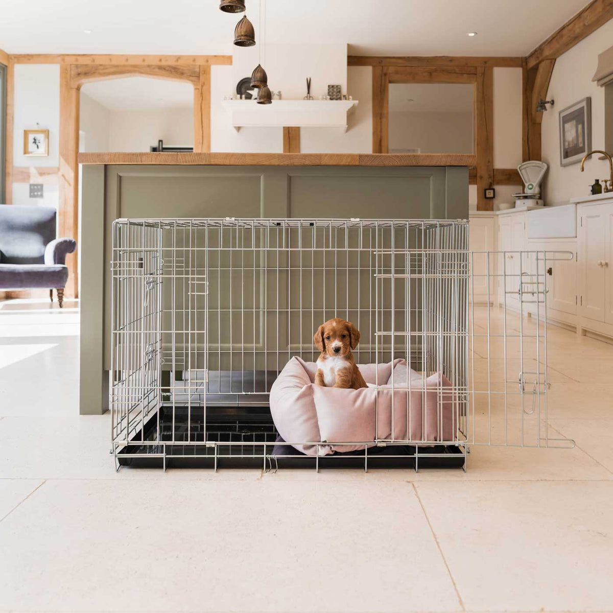 Cosy & Calming Puppy Crate Bed With Removable Covers In Blossom Velvet, view 3