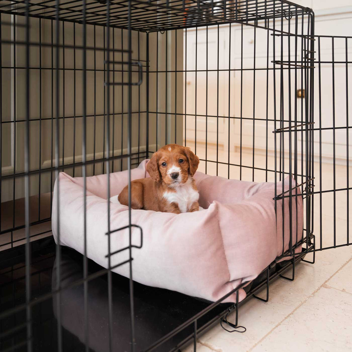 Dog Crate with Cosy & Calming Puppy Crate Bed in Blossom Velvet, view 2