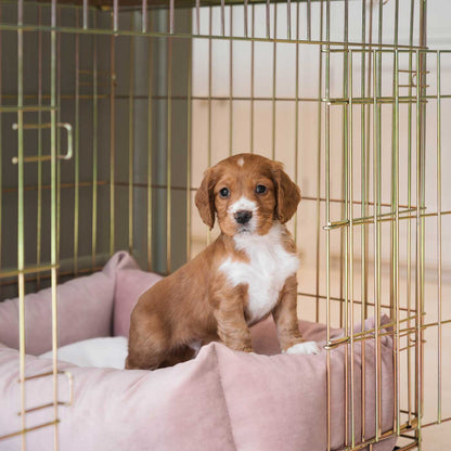 Cosy & Calming Puppy Crate Bed With Removable Covers In Blossom Velvet, view 4