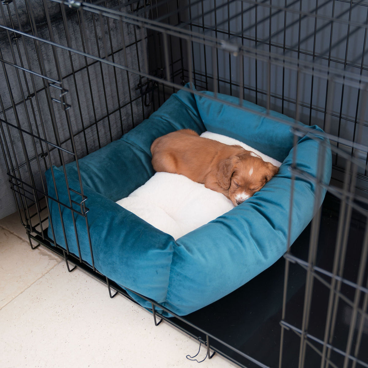 Cosy & Calming Puppy Crate Bed With Removable Covers In Marine Velvet, view 3