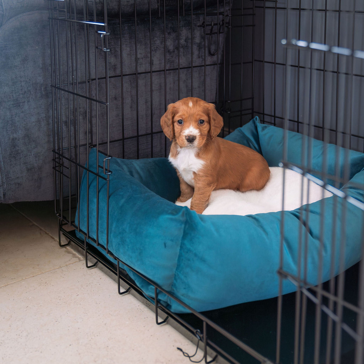 Cosy & Calming Puppy Crate Bed With Removable Covers In Marine Velvet
