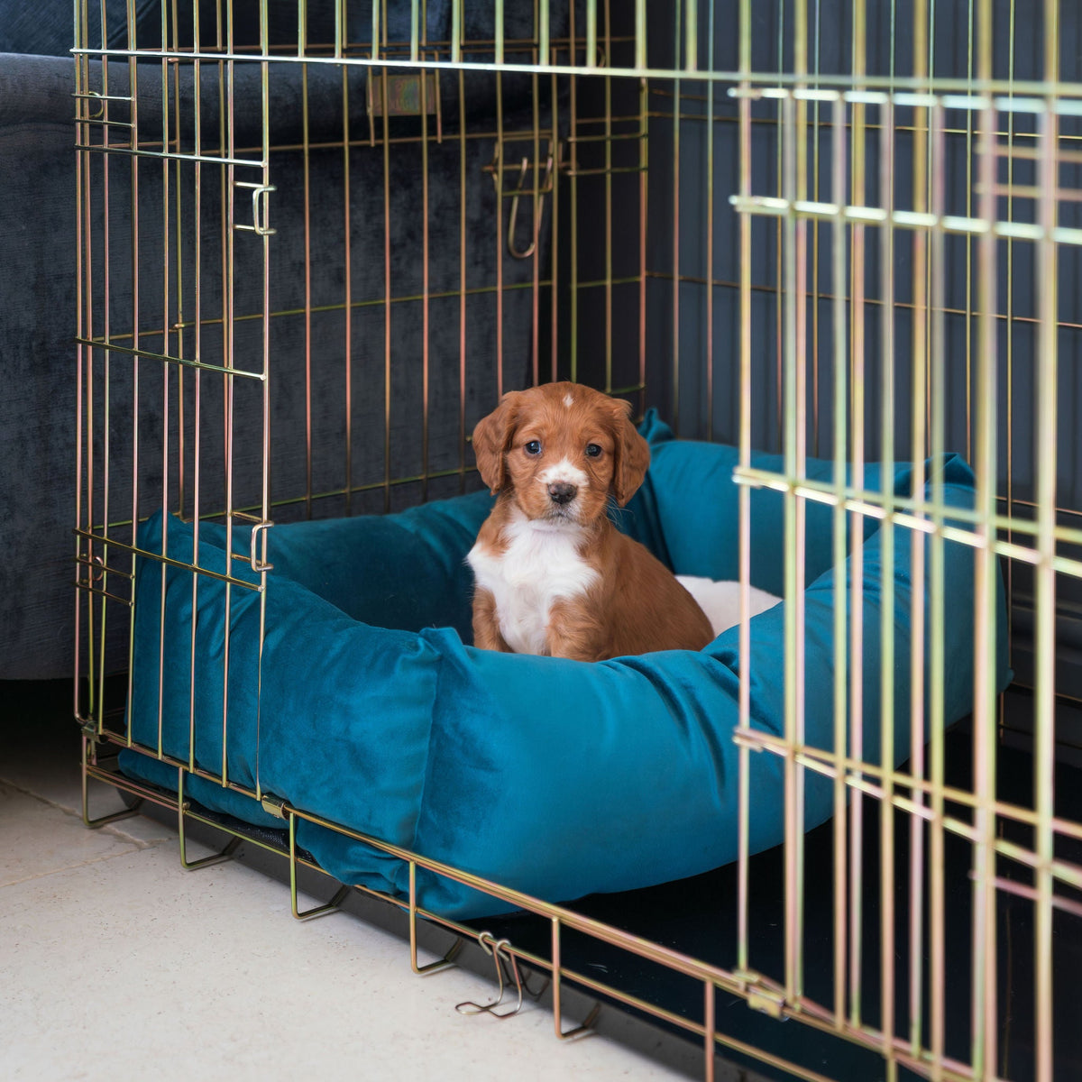 Dog Crate with Cosy & Calming Puppy Crate Bed in Marine Velvet