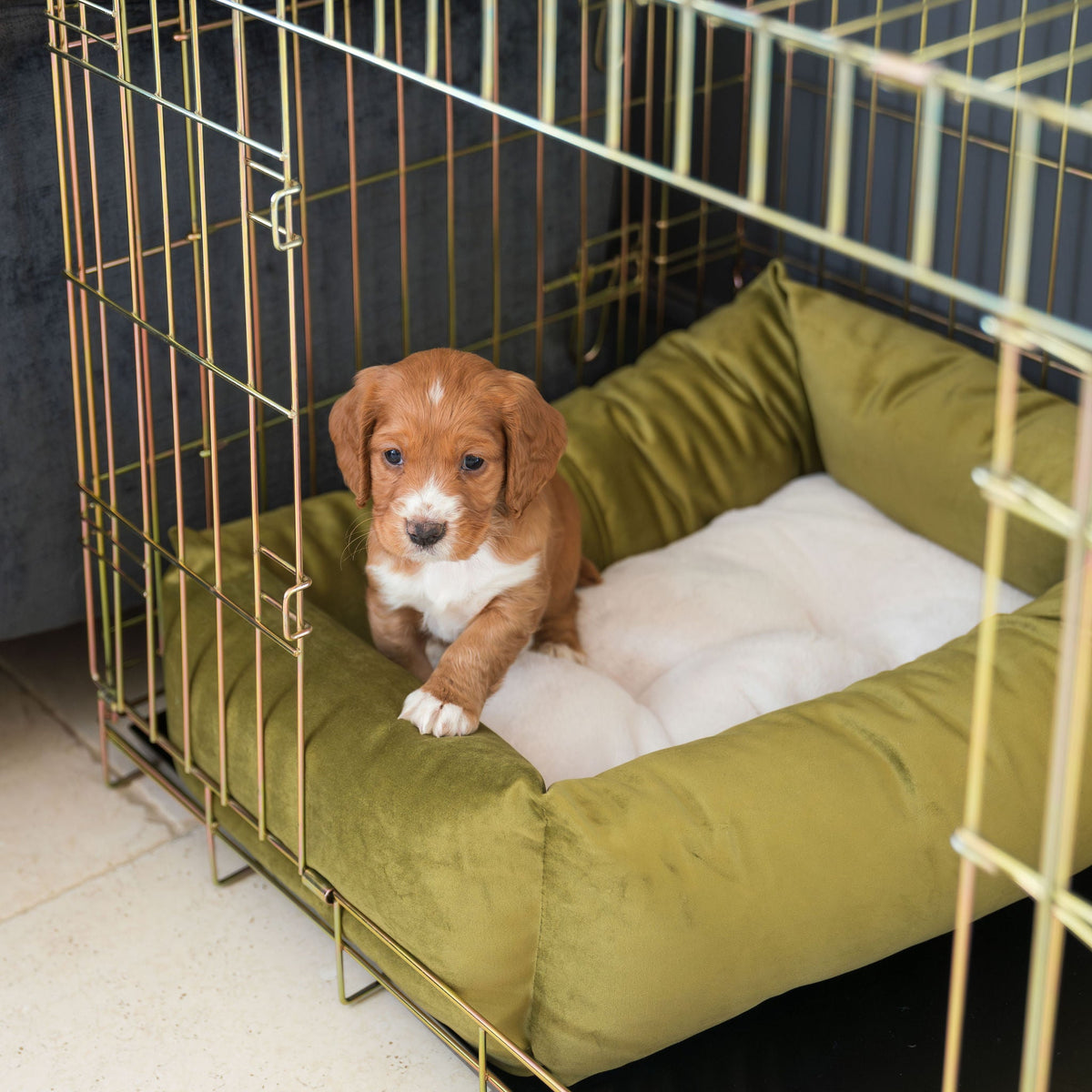 Cosy & Calming Puppy Crate Bed With Removable Covers In Olive Velvet, view 5