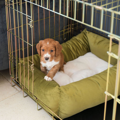 Cosy & Calming Puppy Crate Bed With Removable Covers In Olive Velvet, view 5
