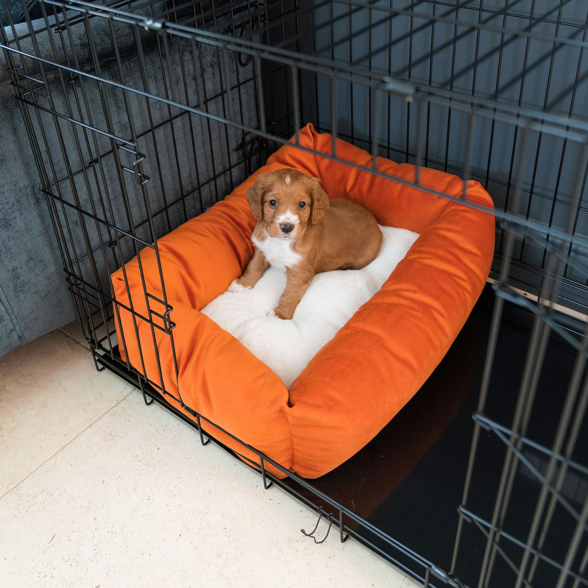 Cosy & Calming Puppy Crate Bed With Removable Covers In Pumpkin Velvet, view 4