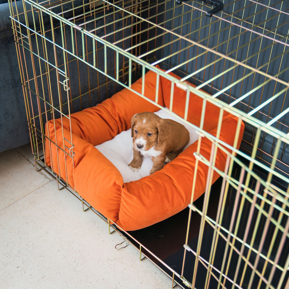 Dog Crate with Cosy & Calming Puppy Crate Bed in Pumpkin Velvet, view 2