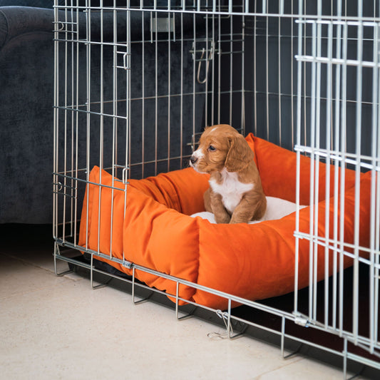 Cosy & Calming Puppy Crate Bed With Removable Covers In Pumpkin Velvet