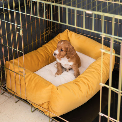 Dog Crate with Cosy & Calming Puppy Crate Bed in Saffron Velvet