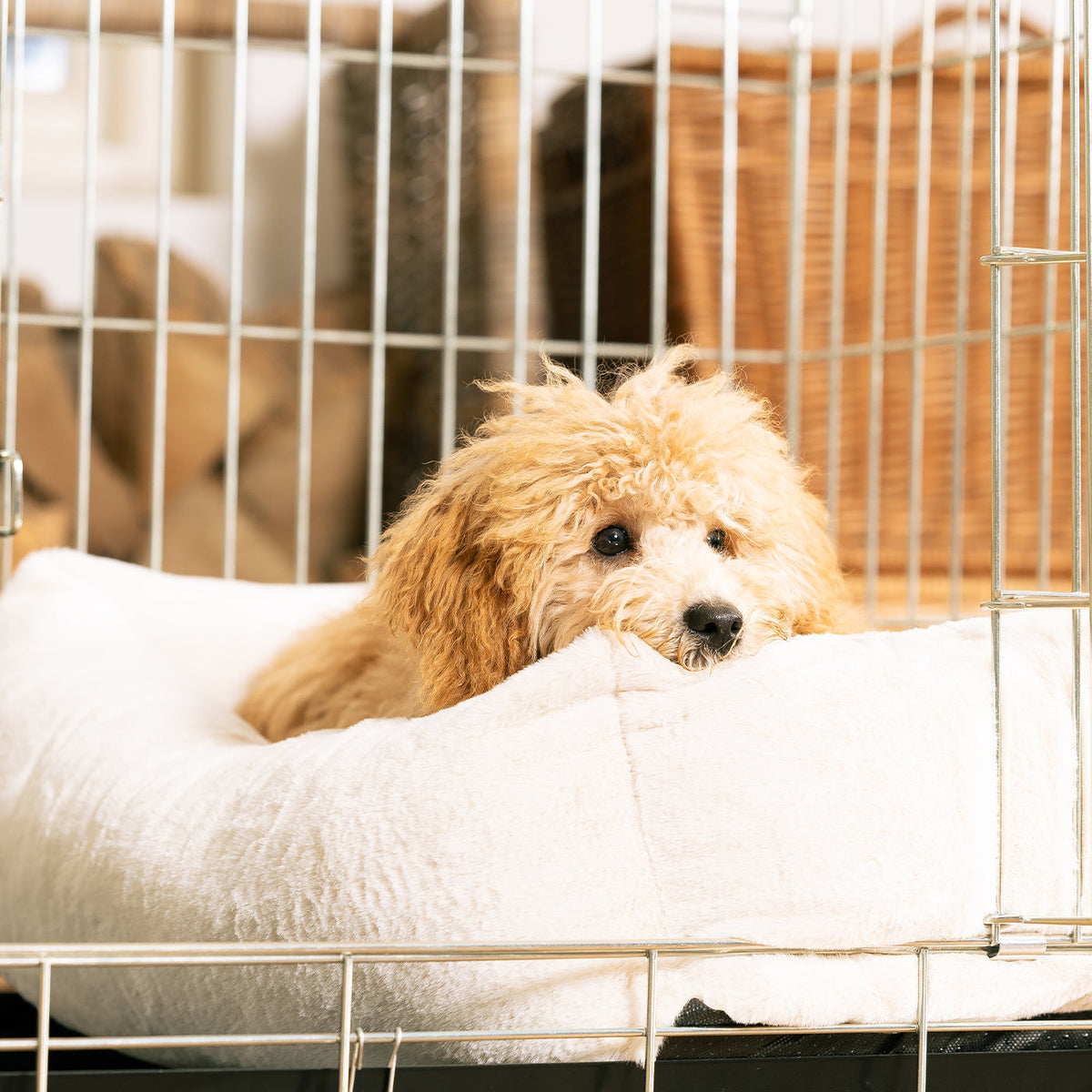 Cosy & Calming Puppy Crate Bed With Removable Covers in Calming Anti-Anxiety Cream Faux Fur, view 6