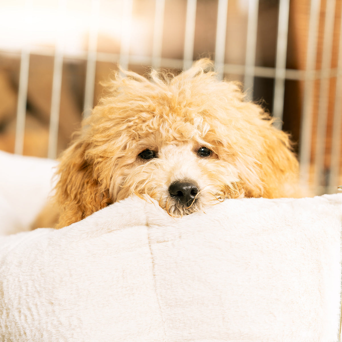 Cosy & Calming Puppy Crate Bed With Removable Covers in Calming Anti-Anxiety Cream Faux Fur, view 7