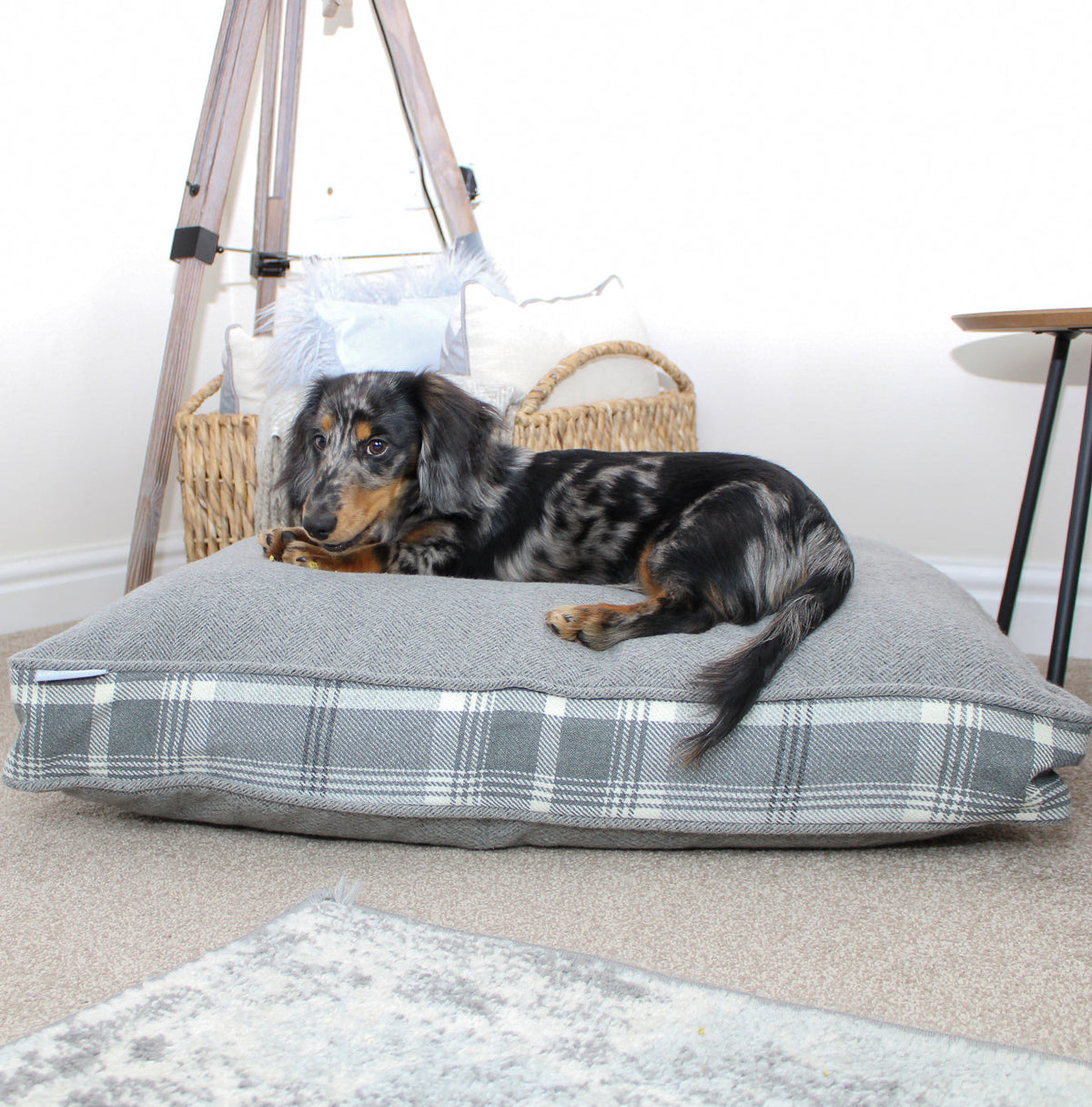 Dog Cushion in Balmoral Dove Grey Tweed, view 10