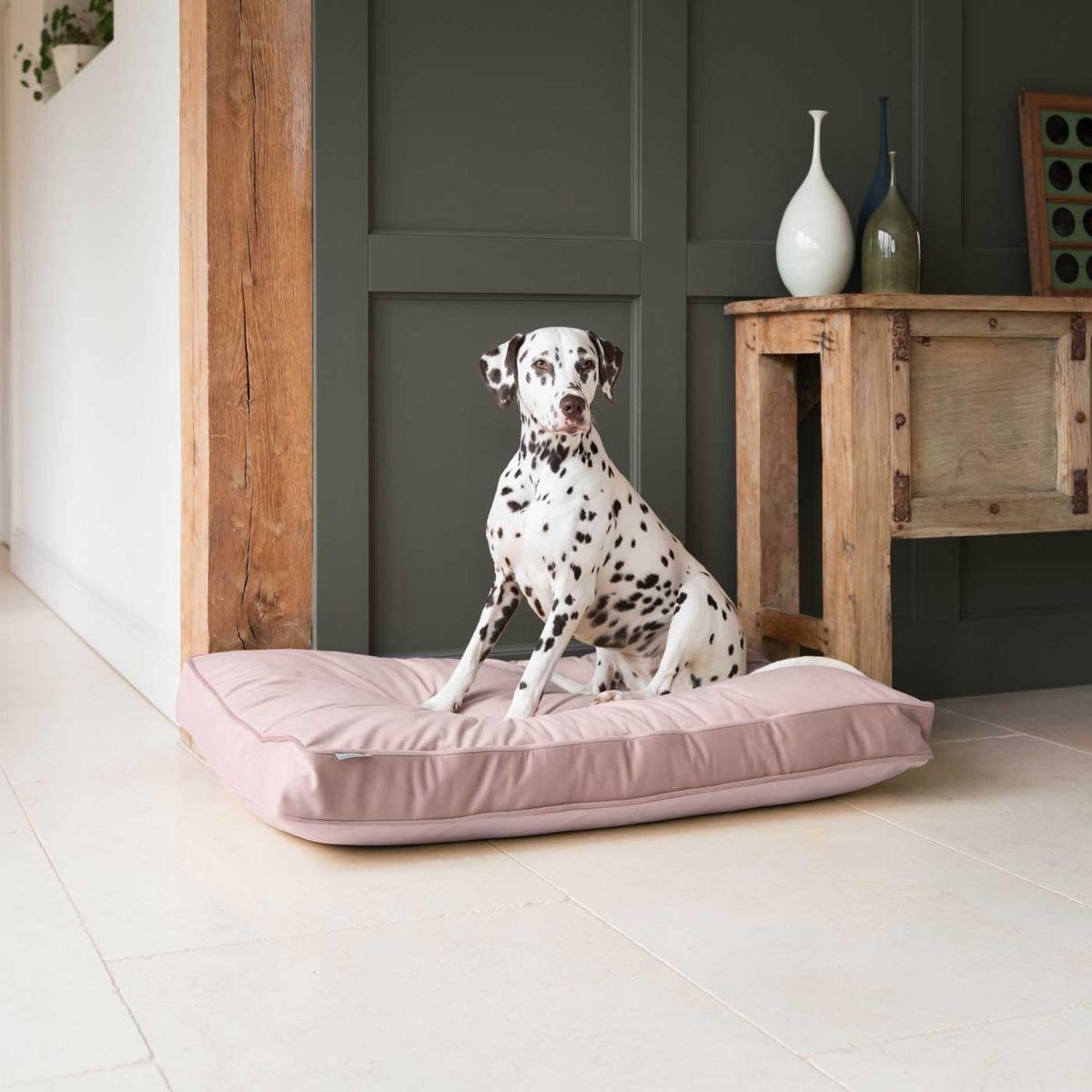 Dog Cushion in Blossom Velvet, view 5