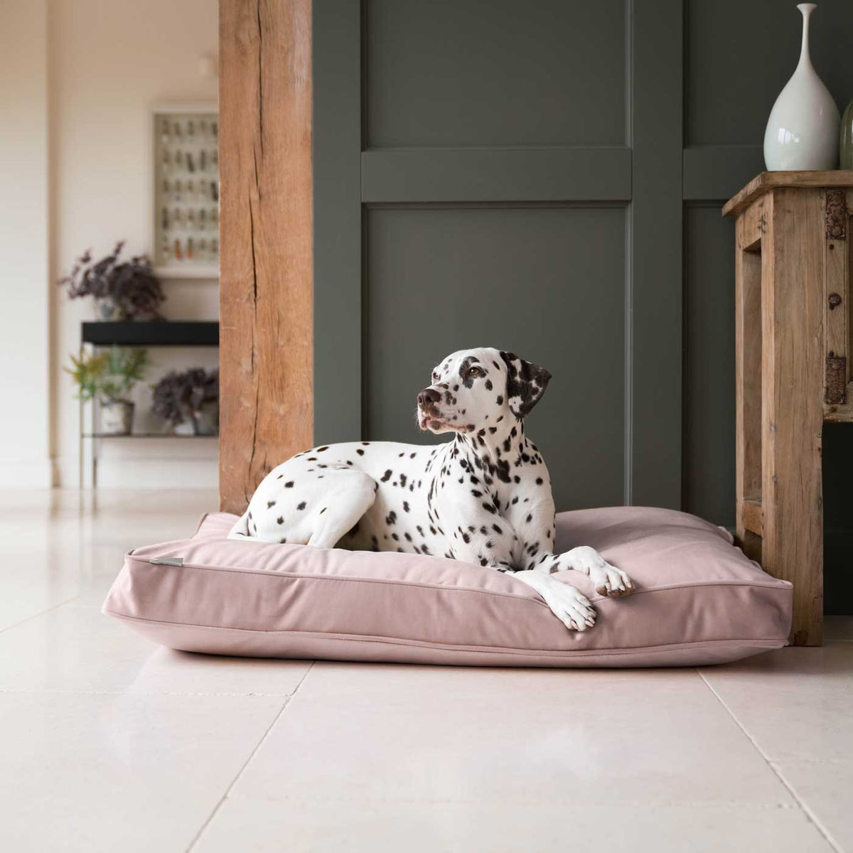 Dog Cushion in Blossom Velvet, view 4