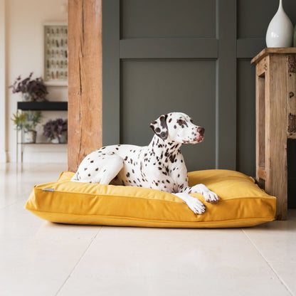 Dog Cushion in Saffron Velvet, view 8