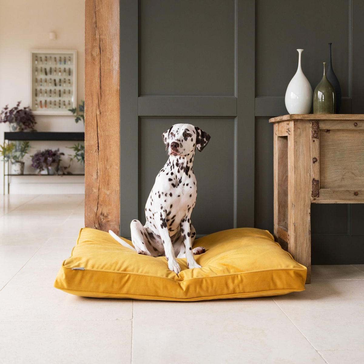 Dog Cushion in Saffron Velvet, view 7