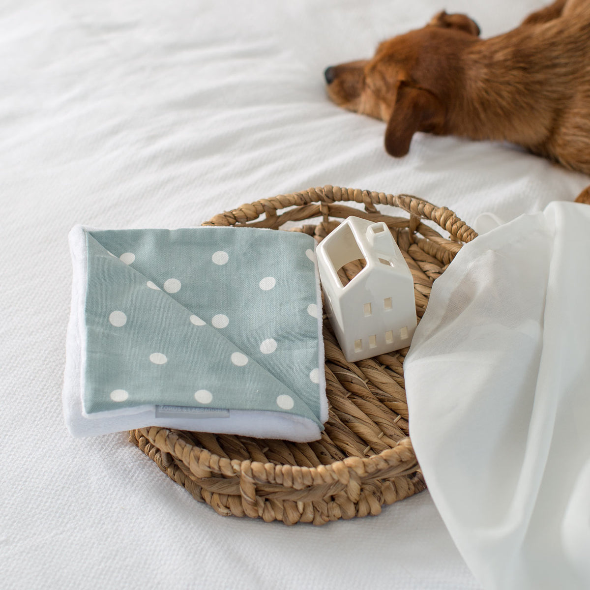 Puppy Scent Blanket in Spots & Stripes, view 5