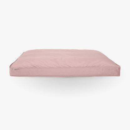 Dog Cushion in Blossom Velvet, view 7