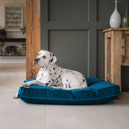 Dog Cushion in Marine Velvet, view 5
