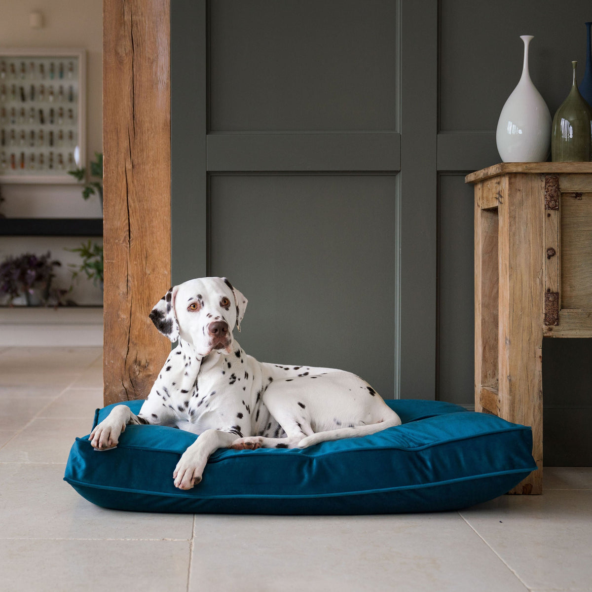 Dog Cushion in Marine Velvet, view 4