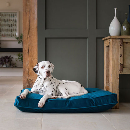 Dog Cushion in Marine Velvet, view 4