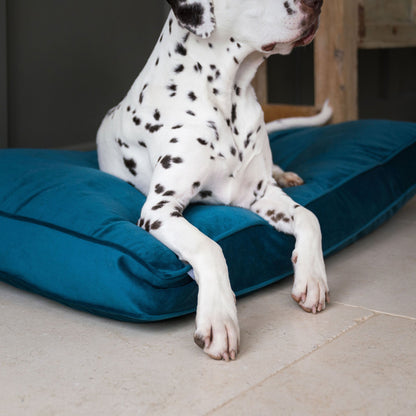 Dog Cushion in Marine Velvet, view 7