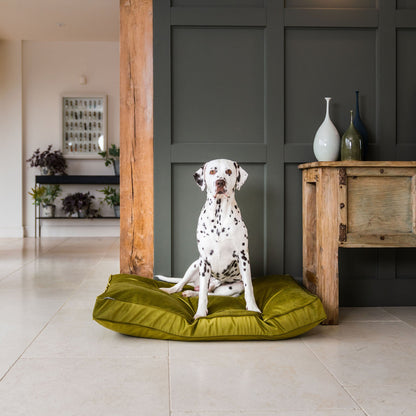 Dog Cushion in Olive Velvet, view 4
