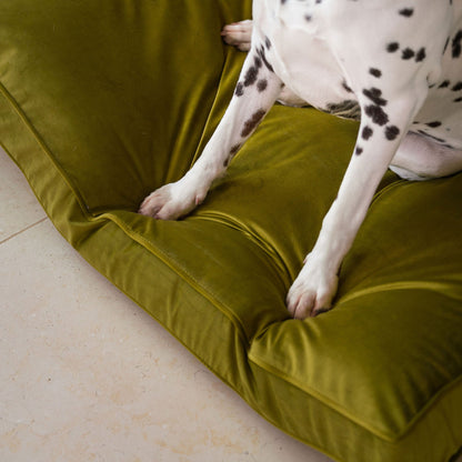 Dog Cushion in Olive Velvet, view 5