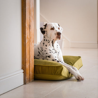 Dog Cushion in Olive Velvet, view 6