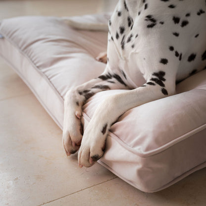 Dog Cushion in Oyster Velvet, view 5