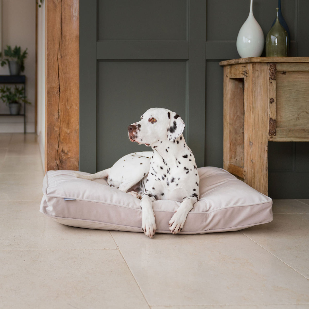 Dog Cushion in Oyster Velvet, view 4