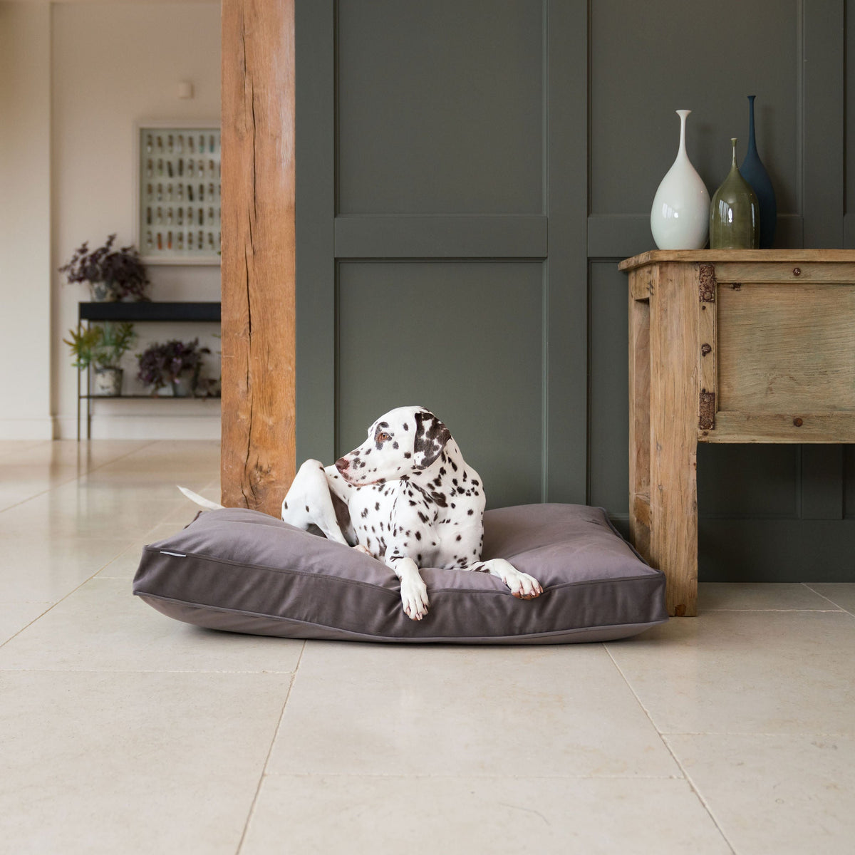 Dog Cushion in Silt Velvet, view 4