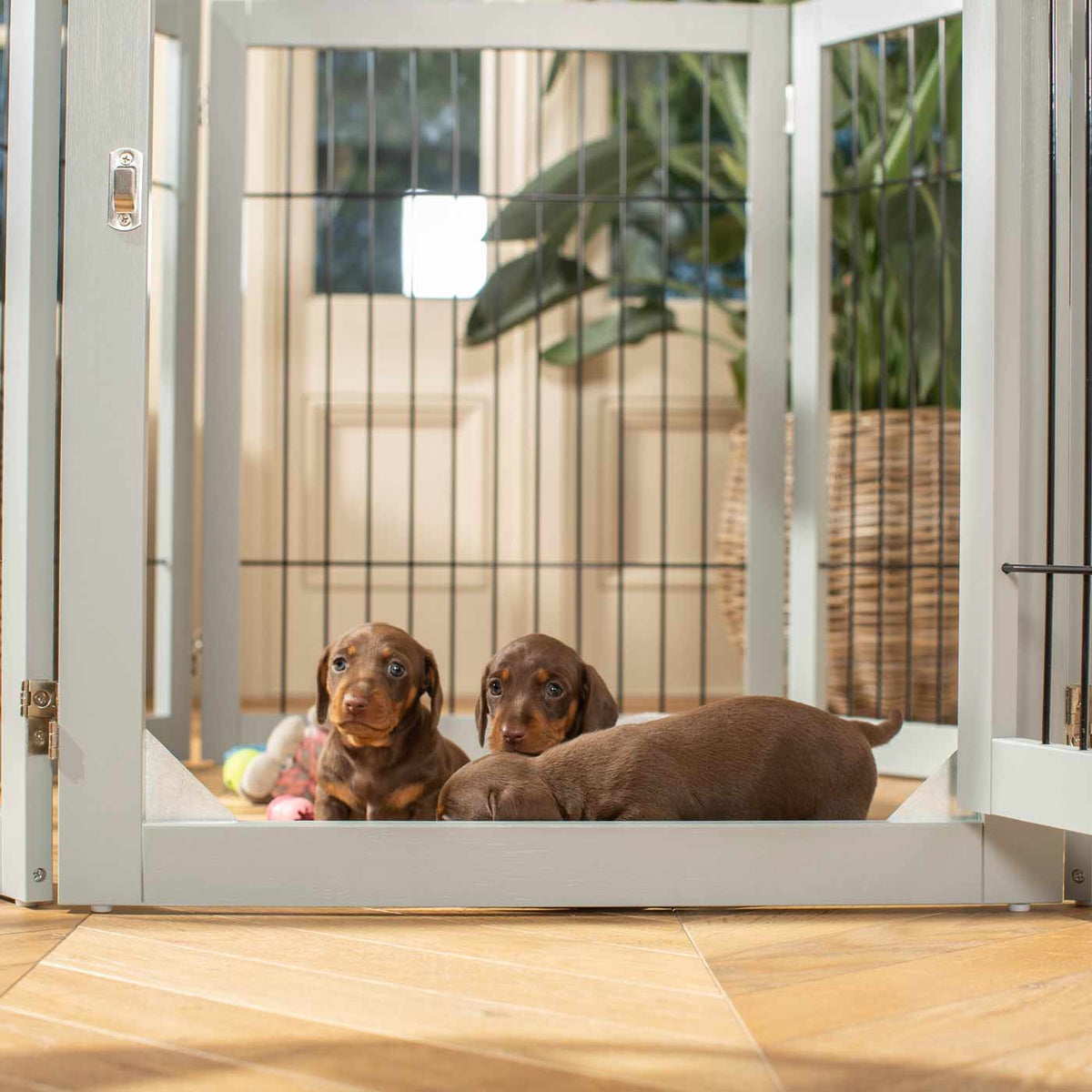 Grey Wooden Puppy Play Pen, view 5