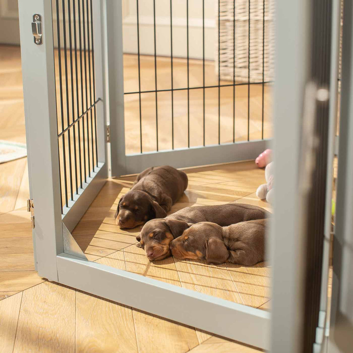 Grey Wooden Puppy Play Pen, view 4