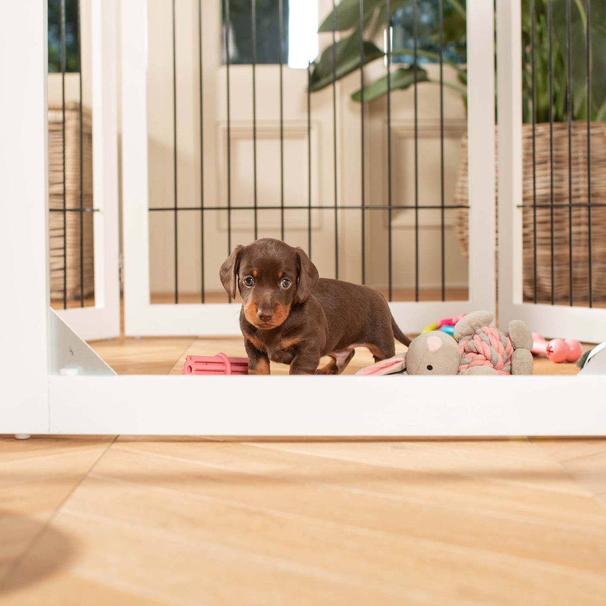 White Wooden Puppy Play Pen, view 3
