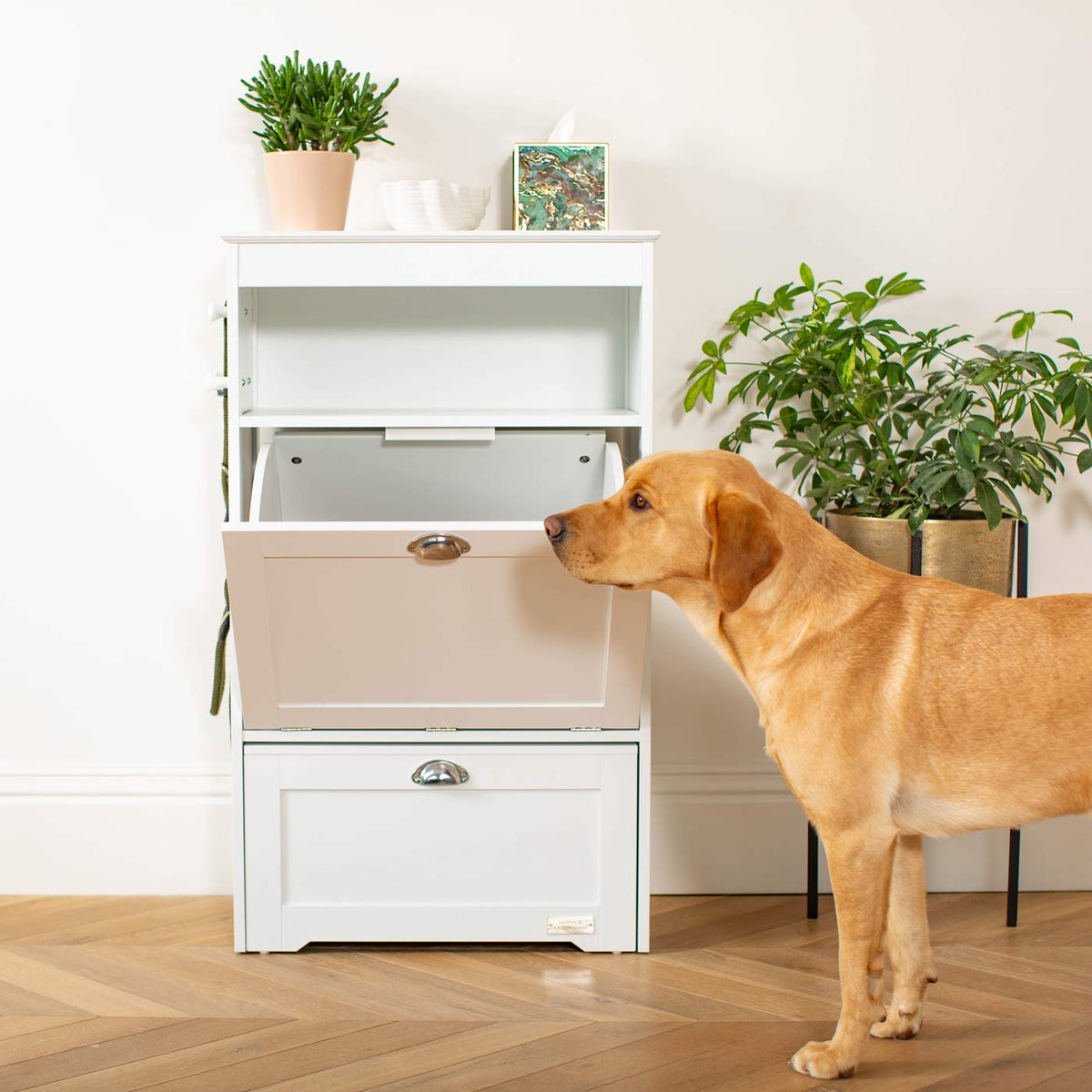 Wooden Pet Feeding Station in White, view 6