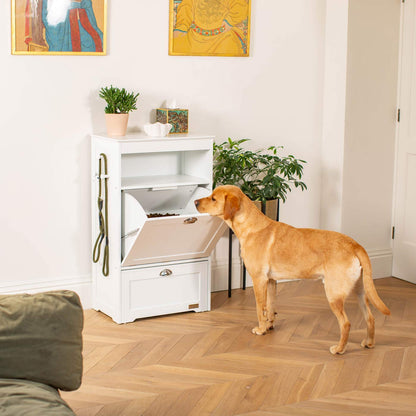 Wooden Pet Feeding Station in White, view 4